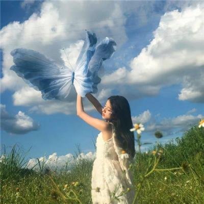 橄榄树下的情人